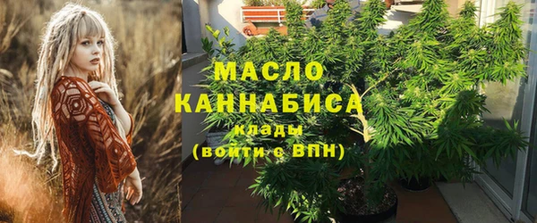 индика Гусиноозёрск