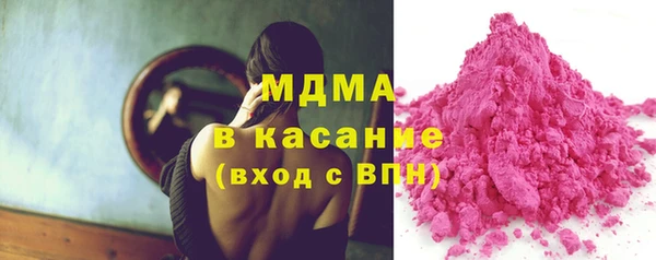 индика Гусиноозёрск