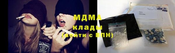круглые Гусев