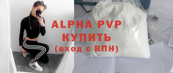 индика Гусиноозёрск
