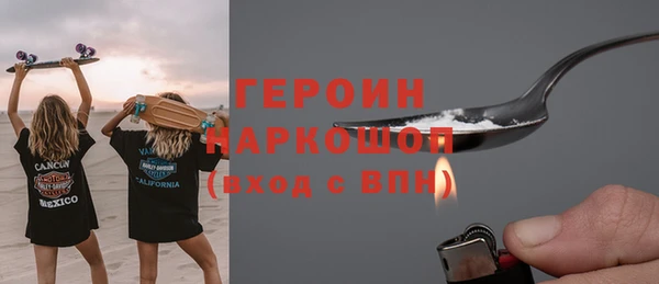 индика Гусиноозёрск