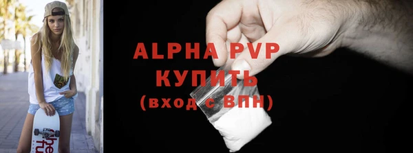 круглые Гусев