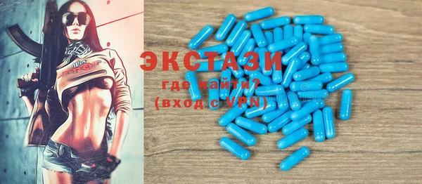 индика Гусиноозёрск