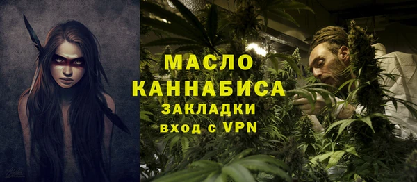 индика Гусиноозёрск