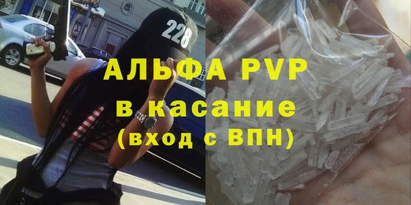 PSILOCYBIN Дмитриев