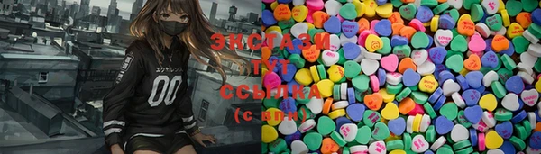 индика Гусиноозёрск