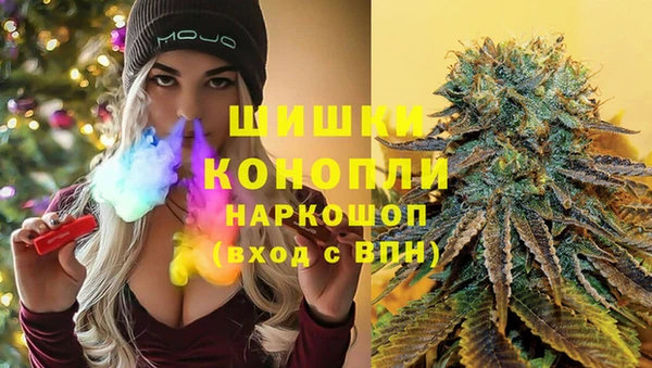индика Гусиноозёрск