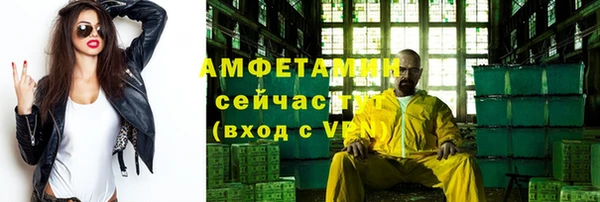индика Гусиноозёрск
