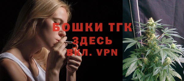 индика Гусиноозёрск