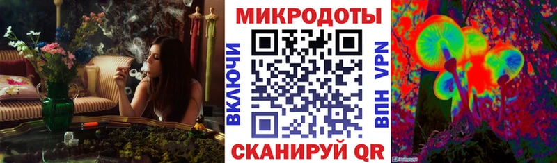 Купить где  Карабулак  Галлюциногенные грибы Cubensis 